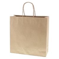 ＨＥＩＫＯ 手提げ紙袋　スムースバッグ ３才 エコライナー 003154114 1セット(25枚入×8袋 合計200枚)（直送品）
