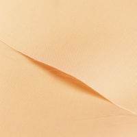 日本紐釦貿易 テトロン裏地 122cm×1.5m 生成 手芸・ハンドメイド用品 T321-16 1セット(5袋)