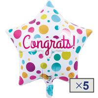 IBスター.コングラッツ ドット 宝興産