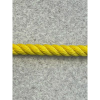 名古屋製鋼 ポリエステルスパンロープ 黄 8ｍｍ×200ｍ 1巻（直送品）