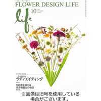 フラワーデザインライフ 2024/02/01発売号から1年(12冊)（直送品）