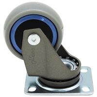aCY JtLX^[4 50mm O[[×TbNXu[ 4 GB-50 1Zbg(8:4×2Zbg)iij