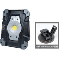 グランツ LED投光器 GTR-2500S 1台（直送品）