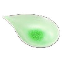 小皿 ヒワビードロ　ナス型皿（中）【有田焼】 [3個入] wis-c-7-73　若泉漆器（直送品）