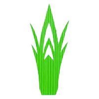 バラン　トンガリ松型（５００入） [3個入] wis-h-77-61　若泉漆器（直送品）