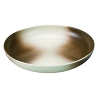 中皿 ７寸食彩プレート　信楽風 [2個入] wis-m-34-58　若泉漆器（直送品）