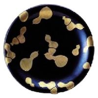 中皿 寿司皿　黒ひさご（輪島塗風） [5個入] wis-o-75-11　若泉漆器（直送品）