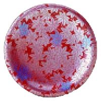 中皿 寿司皿　朱に紅葉（輪島塗風） [5個入] wis-o-75-4　若泉漆器（直送品）