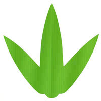 島田昌 バラン W-28 バラン三枚入笹 大 1000枚入 34点 00597527 1セット(34点入)（直送品）