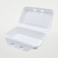 パックスタイル 弁当容器 新ABランチ220-140 200枚(50枚×4) 00677775 1セット(200枚(50枚×4)入)（直送品）