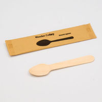 中村 木製 デザートスプーン 未晒紙完封 50本入 100点 00679321 1セット(100点入)（直送品）