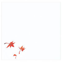 マイン 紙・演出小物 M30-241 耐油懐敷 12角 もみじ 100枚入 120点 1セット(120点入)（直送品）