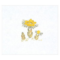 マイン 紙・演出小物 M30-249 鮮度保持紙 (大) 福寿草 100枚入 50点 1セット(50点入)（直送品）