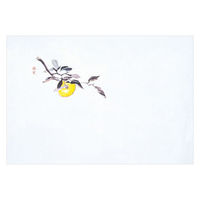 マイン 紙・演出小物 M30-323 四季紙 富久寿 尺5 ゆず 100枚入 10点 1セット(10点入)（直送品）