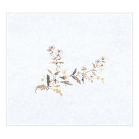 マイン 紙・演出小物 M30-360 鮮度保持紙 (大) 菊 100枚入 50点 1セット(50点入)（直送品）