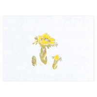 マイン 紙・演出小物 M30-362 鮮度保持紙 (小) 福寿草 100枚入　50点　1セット(50点入)（直送品）