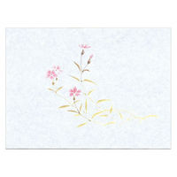 マイン 紙・演出小物 M30-371 鮮度保持紙 (小) なでしこ 100枚入　50点　1セット(50点入)（直送品）