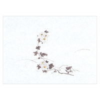 マイン 紙・演出小物 M30-374 鮮度保持紙 (小) 菊 100枚入　50点　1セット(50点入)（直送品）