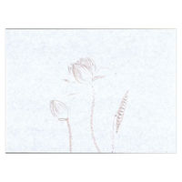 マイン 紙・演出小物 M30-379 鮮度保持紙 (小) はす 100枚入　50点　1セット(50点入)（直送品）