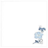 マイン 紙・演出小物 M30-400 耐油懐敷 15角 朝顔 100枚入 120点 1セット(120点入)（直送品）