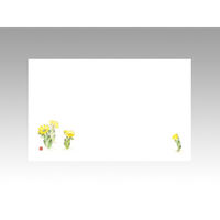 テーブルマット 上質-108 福寿草　100点 388713 1セット(100点入) カミイソ産商（直送品）