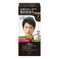 LUCIDO（ルシード） ワンプッシュケアカラーナチュラルブラック 7 メンズ用 無香料 白髪染め クリームタイプ（医薬部外品）