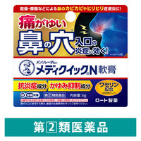 メンソレータムメディクイックN軟膏 6g ロート製薬　塗り薬 ステロイド配合 鼻の周囲 皮膚炎 かゆみ【指定第2類医薬品】