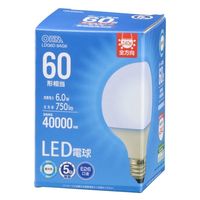 オーム電機 ＬＥＤ電球　Ｇ　Ｅ２６　６Ｗ　昼光色 06-5526 1個（直送品）