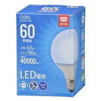 オーム電機 ＬＥＤ電球　Ｇ　Ｅ２６　６Ｗ　昼光色 06-5530 1個（直送品）