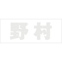nCWbN \Dp ؕV[ u쑺v  Fp[O[ Vn50mm CLP5-99 1iij