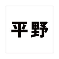 ハイロジック　表札用 切文字シール　「平野」　ゴシック体　文字色ブラック　160×160mmプレート用　CLB16-89　1枚（直送品）