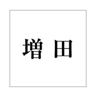 ハイロジック 表札用 切文字シール 「増田」