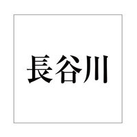 nCWbN \Dp ؕV[ uJv  FubN 160×160mmv[gp CLB16-35 1iij