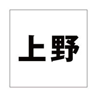 ハイロジック 表札用 切文字シール 「上野」