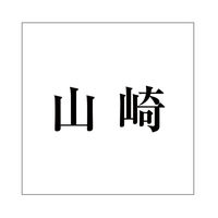 nCWbN \Dp ؕV[ uRv  FubN 100×100mmv[gp CLB10-21 1iij