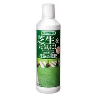 ハイポネックス 芝生の液肥　４５０ｍｌ 62495 1個（直送品）