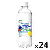 サンガリア 伊賀の天然水 強炭酸水 グレープフルーツ 500ml 1箱（24本入）（わけあり品）