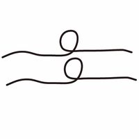 タナックス MPー160 PPヒモ (2本) 1セット(4個)（直送品）