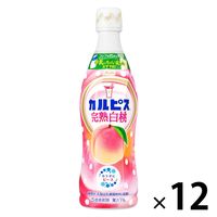 アサヒ飲料 カルピス 完熟白桃 ＜希釈用＞470ml 1箱（12本入）