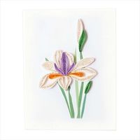 cG[X J[h Water Iris GE540 CWT953611 1Zbg(6)iij