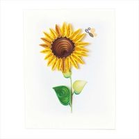 cG[X J[h Sunflowergift enclosure GE523 CWT953955 1Zbg(6)iij