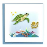 cG[X J[h TurtleBL1016 CWT953931 1Zbg(4)iij