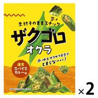 ザクゴロ野菜 オクラ 濃厚スパイスカレー 20g 2袋 モントワール おつまみ スナック菓子