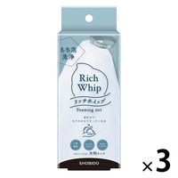 リッチホイップ 泡立てネット 3個 粧美堂