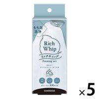 リッチホイップ 泡立てネット 5個 粧美堂