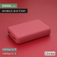 OWLTECH 10000mAhで196g Type-C入出力 モバイルバッテリー OWL-LPB10012