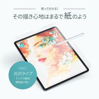 OWLTECH iPad Pro12.9inch対応 紙のような描き心地フィルム 光沢 OWL-PFIC129-CL 1個（直送品）