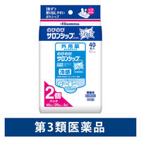 のびのびサロンシップフィット 40枚 久光製薬   湿布 肩こり 腰痛 筋肉痛 関節痛 打撲【第3類医薬品】