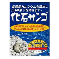 ソネケミファ 化石サンゴ 500g(ネット入) 16244 1個（直送品）