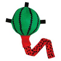 ペティオ 犬用おもちゃ びよ~ん!フルーツ スイカ 271590 1個（直送品）